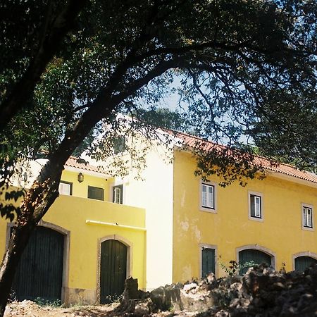 The Five House Hotel Sintra Kültér fotó