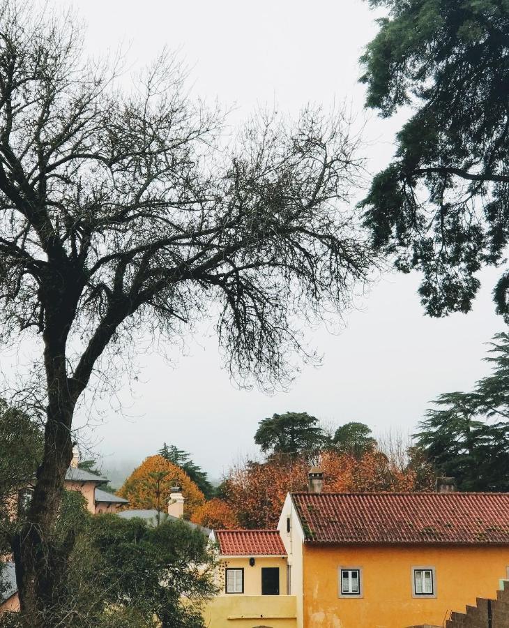 The Five House Hotel Sintra Kültér fotó